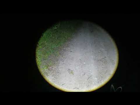 This $50 Headlamp is INSANE! 3000 Lumens, Motion Control & Digital Display (2025 Review)